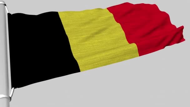 벨기에의 국기는 바람에도 — 비디오