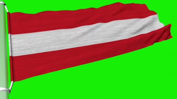 Австрийский Флаг Постоянно Мерцал Силы Ветра — стоковое видео