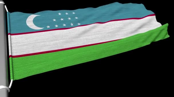 Флаг Узбекистана Развевается Постоянном Потоке Ветра — стоковое видео