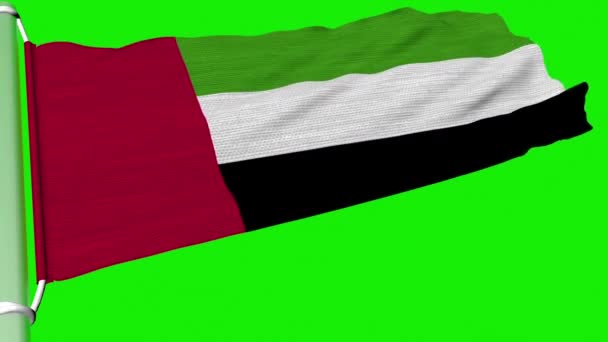 Флаг Объединенных Арабских Эмиратов Развевается Постоянном Потоке Ветра — стоковое видео