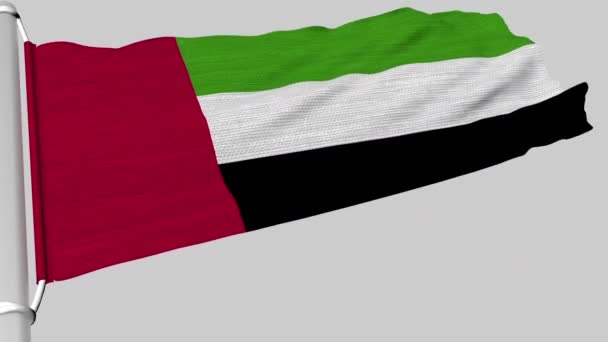 Bandiera Degli Emirati Arabi Uniti Sventola Flusso Costante Vento — Video Stock