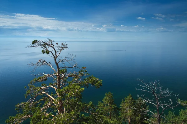 Ağaçlara ve bulutlarla Baykal Gölü manzarası