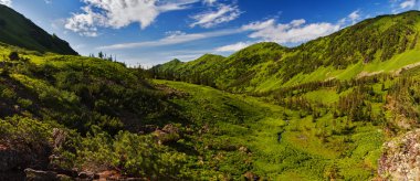 Yeşil tepeler Panoraması
