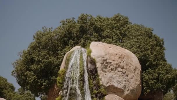 Uma pequena cachoeira no centro da moldura. No fundo, árvores verdes — Vídeo de Stock