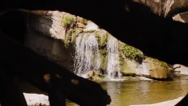 Ett litet starkt vattenfall i fjärran i en inramning av stenar. — Stockvideo