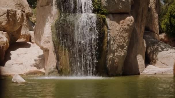 Een kleine waterval valt in de vijver in het midden van het frame. — Stockvideo