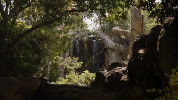 Uma pequena cachoeira na distância em um enquadramento de árvores e rochas. Tiro largo. — Vídeo de Stock