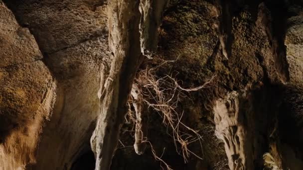 Stalaktiten in einer Steinhöhle, Wind bläst trockenes Gras. Nahaufnahme. — Stockvideo