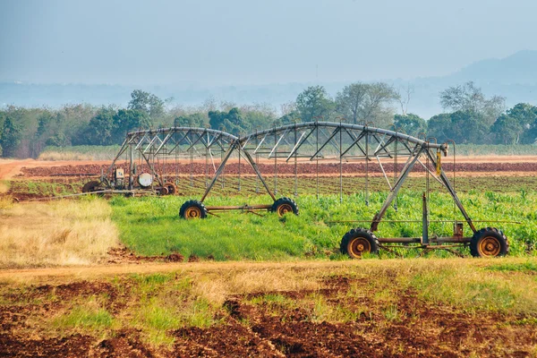 Center pivot sprinkler system in a corn field — Stock Photo, Image