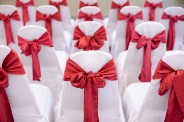 Festival süslemeli sandalyeler