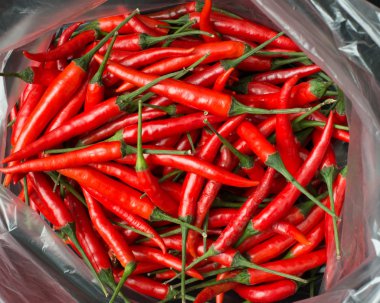 Red chillies in plastic bag