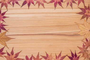 Kuru akçaağaç yapraklarıyla çevrili kara zemin tahtası..