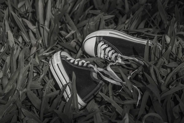 Black Sneakers Were Exposed Sun Grass — Stock Photo, Image