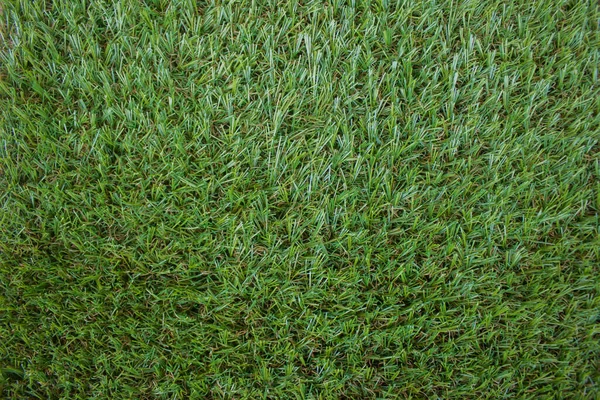 This is a very realistic simulation of artificial grass.