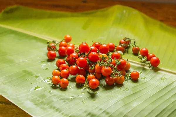 Kleine Rote Tomaten Auf Bananenblättern — Stockfoto