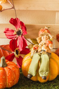 Oyuncak bebek balkabağının üzerinde oturan yaşlı çocuk..