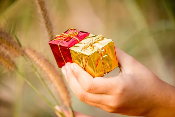 Geschenkdozen Van Rode Gele Hand — Stockfoto