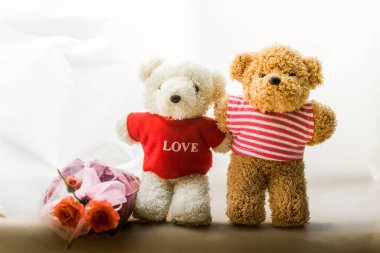 İki oyuncak ayı yerde dinleniyor..