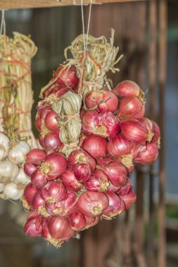 Kurutulmuş soğan, önleyici ve iyileştirici özellikleri olan ve pişirmede kullanılan tıbbi bitkilerdir..