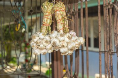 Sarımsak, bazı hastalıkların önlenmesi ve tedavisinde özellikleri olan ve pişirmede kullanılan bir bitkidir..