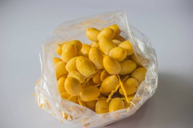 Phoenix Dactylifera. Plastik bir poşetin içinde, bir kilogram ağırlığında..