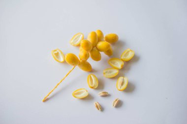 Hurma tomurcukları birbirine kavuşmuştur..