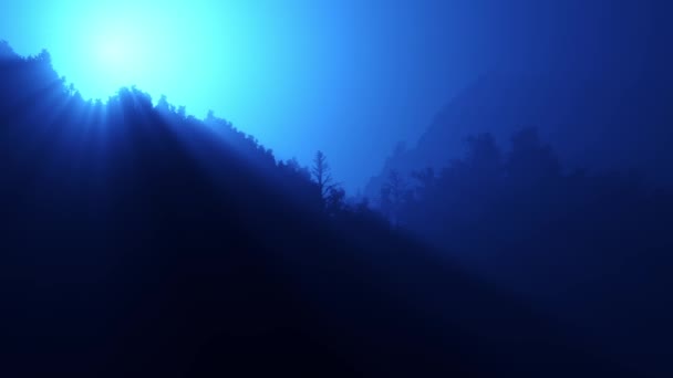 La lune brille dans la forêt nocturne . — Video