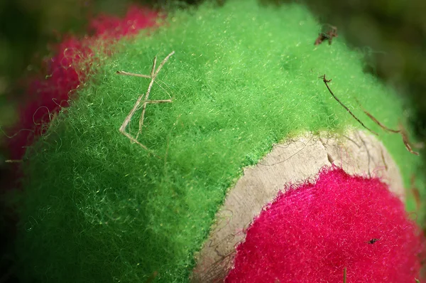 Yeşil ve pembe velcro topu Telifsiz Stok Fotoğraflar