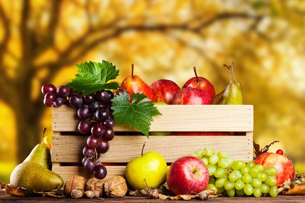 Grönsaker och frukter på tabell hösten — Stockfoto