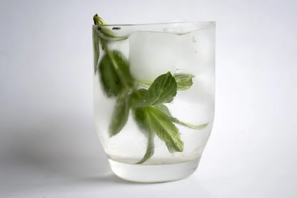 Mint and ice — Stock Photo, Image