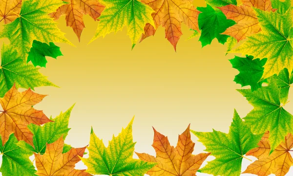 Sonbahar yaprakları dökülüyor.