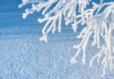 Güzel kış manzarası