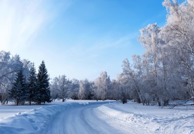 Güzel kış manzarası