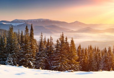 Güzel kış manzarası