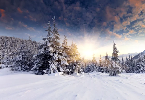 Güzel kış manzarası