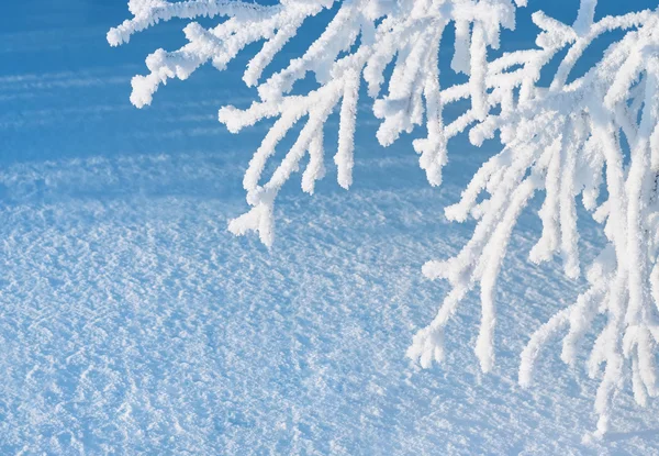 Vackert vinterlandskap — Stockfoto