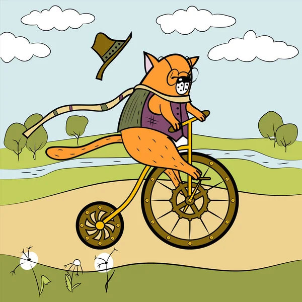 Bicicleta Verano Paseo Gato Feliz Imagen Vectorial Animal Multicolor Puede — Archivo Imágenes Vectoriales