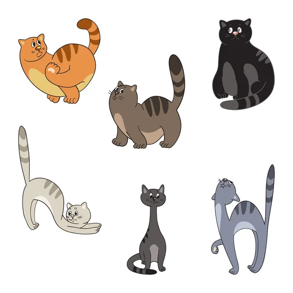 Farklı kedi koleksiyonu