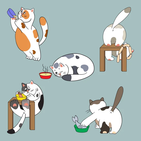 猫和食物集合 — 图库矢量图片