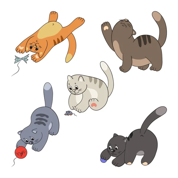 Kediler ve onların oyuncak koleksiyonu