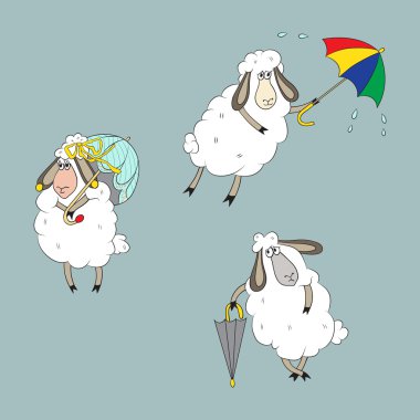 Farklı koyun ile koleksiyonu