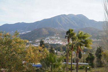 Venuela, Endülüs, İspanya 'da bir dağ ve geniş palmiye ağaçları manzarası