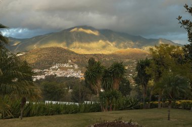 Palmiye ağaçlarının manzarası, bulutlu gökyüzü Endülüs dağında altın ışık