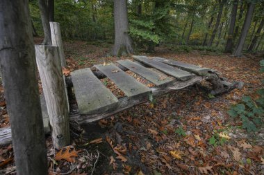 Kütük ve kalaslardan yapılmış küçük, kırsal ahşap bir köprü, orman zemininde yapraklarla çevrili sığ bir dalışı kapsıyor. Köprü, doğal orman düzenine insan varlığı katıyor..