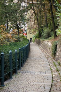 Brno Çek Cumhuriyeti barışçıl bir açık hava ortamında yakalandı, yeşillikle kaplı taş bir yol ve sağlam bir taş duvar, gözlere uzaktaki yalnız bir figüre doğru rehberlik ediyor, sakin bir keşif duygusunu çağrıştırıyor..