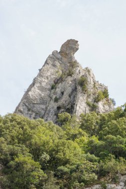 Bu görüntü, yumuşak, soluk bir gökyüzünün altında canlı yeşil ağaçlardan oluşan bir ormanın üzerinde yükselen çarpıcı bir kaya oluşumunu gösteriyor. Sahne, doğanın ihtişamını ve dağ çevresinin dingin güzelliğini yakalar..