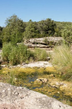 Canlı ve sakin bir manzara, doğal bir manzarada dolanan sığ bir akarsuyu yakalar. Nehir çeşitli bitki örtüsüyle çevrili, kayalar manzarayı noktalıyor, hepsi açık mavi bir gökyüzünün altında..