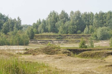 Fotoğraf, bereketli ağaçların, geniş bir alanın ve yükseklikteki ince değişikliklerin karışımının yer aldığı sakin bir manzara yakalıyor. Açık havada doğal güzellik ve ahenk görüntüsü yaratıyor..