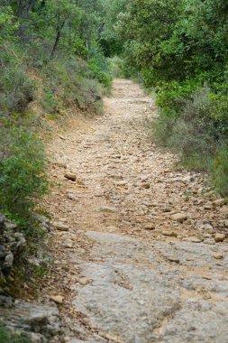 Kayalık ve dolambaçlı bir toprak yol canlı yeşil bir ormanın içinden geçer, keşif ve maceraya davetiye çıkarır. Huzurlu ortam, doğanın kucaklamasına bir huzur ve daldırma hissi uyandırıyor..