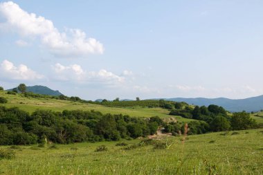 Parçalı bulutlu mavi gökyüzünün altında yuvarlanan yeşil tepeleri olan sakin bir manzara, seyahat broşürleri, doğa blogları veya açık hava macera promosyonları için mükemmel. Manzaralı güzelliği yakala